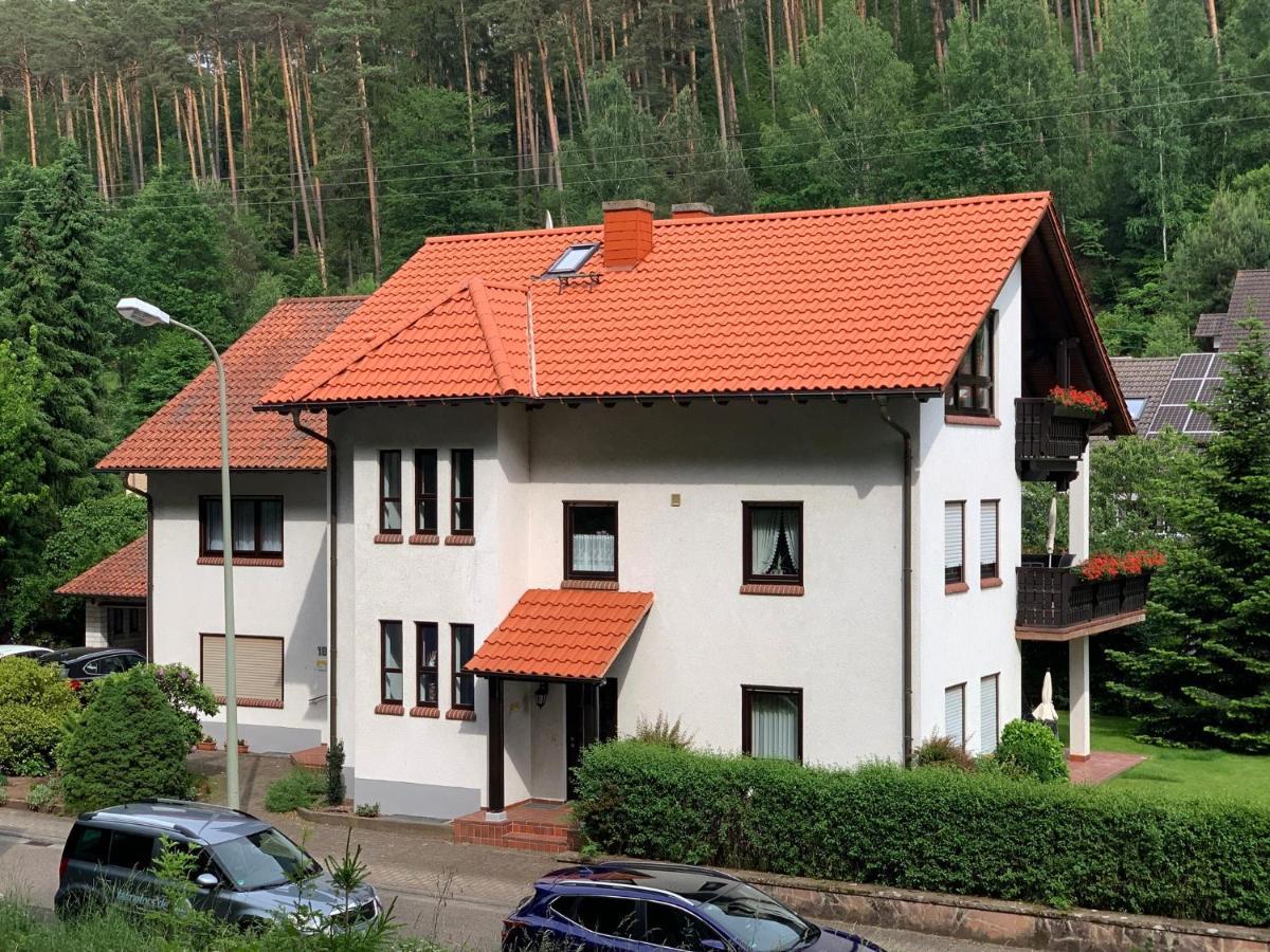 Ferienwohnungen Im Herzen Des Pfaelzerwaldes Elmstein Buitenkant foto